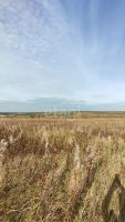 Лот: 25299438. Фото: 8. участок , село Потапово село Потапово...