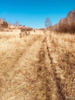 Лот: 13691323. Фото: 5. Земельный участок Нанжуль
