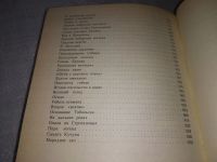 Лот: 19241873. Фото: 5. Скрынников Р. Далекий век. Иван...