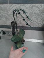 Лот: 10613777. Фото: 2. Орхидея фаленопсис (крашенная... Комнатные растения и уход