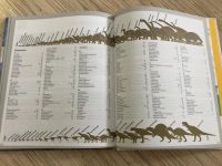 Лот: 12048563. Фото: 2. Книга динозавры. Детям и родителям