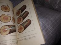 Лот: 16228578. Фото: 6. Круглые лесоматериалы. Справочник...