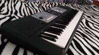 Лот: 11657453. Фото: 5. Синтезатор Yamaha PSR E233