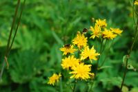 Лот: 10475066. Фото: 5. NIKON AF-S 35 mm f/1.8G DX Nikkor