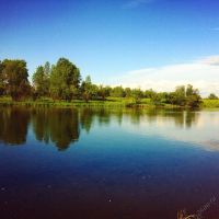 Лот: 5764674. Фото: 2. Продам земельный участок 10 соток... Продажа