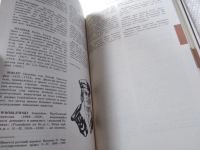 Лот: 14343795. Фото: 7. Бартошек Милан, Римское право...