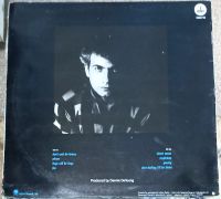 Лот: 21170515. Фото: 2. LP Dennis DeYoung (ближе к mint... Коллекционирование, моделизм