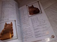 Лот: 15250912. Фото: 3. Кошки и котята: вяжем спицами... Литература, книги