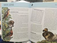 Лот: 11479580. Фото: 2. "Птицы. Полная энциклопедия... Справочная литература