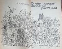 Лот: 16635807. Фото: 3. Головкин Борис - О чем говорят... Литература, книги