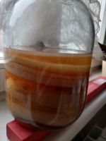 Лот: 19904969. Фото: 2. Чайный гриб. Продукты