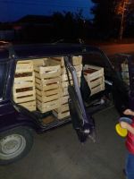 Лот: 17632659. Фото: 4. Ягода виктория