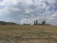Лот: 25294905. Фото: 4. участок , садовые участки Штаны... Красноярск