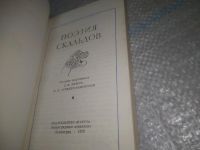 Лот: 19634583. Фото: 6. oЮz/вбЮ(4092390)Поэзия скальдов...