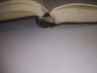 Лот: 25898900. Фото: 7. OzЮ/ВбР(5092324а)Карасаев А.Т...