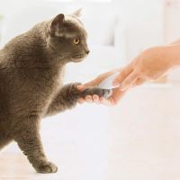 Лот: 22024583. Фото: 5. Машинка для стрижки PAWBBY Pet...