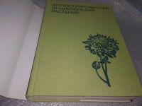 Лот: 18982191. Фото: 2. (2092318)Иллюстрированная энциклопедия... Справочная литература