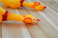 Лот: 9792598. Фото: 6. Сумасшедшая курица, Crazy Chicken...