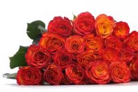 Лот: 11537740. Фото: 7. Розы / Эквадор/ Огненные, как...