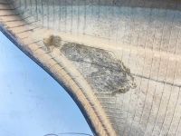 Лот: 25529650. Фото: 8. обшивка двери Opel Astra L35