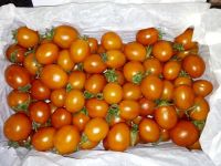 Лот: 6503990. Фото: 2. Помидоры «Черри», 1 кг. Продукты