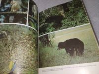 Лот: 18282859. Фото: 7. Мир книги джунглей,...Увлекательный...