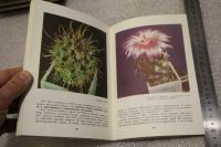 Лот: 20037830. Фото: 5. Книга о кактусах. Залетаева И...