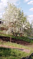 Лот: 25288923. Фото: 6. 1-комн. дача , дачный посёлок...