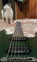 Лот: 10688656. Фото: 3. Ibanez Apex2 Munky signature 7... Музыкальные инструменты и оборудование