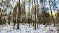Лот: 25295122. Фото: 16. участок , посёлок городского типа...