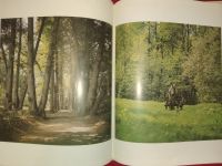 Лот: 21443675. Фото: 6. Лев Толстой