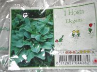 Лот: 946907. Фото: 3. Хоста1. Для дачи, дома, огорода, бани, парка