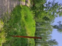 Лот: 17841574. Фото: 3. Земельный участок. Недвижимость