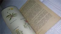 Лот: 11053364. Фото: 3. оз...Лекарственные растения Тувы... Литература, книги