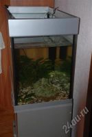 Лот: 236180. Фото: 2. продам аквариум. Аквариумистика
