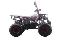 Лот: 25659221. Фото: 17. Квадроцикл MOTAX ATV Grizlik Premium...