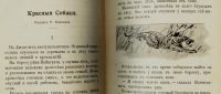 Лот: 16049210. Фото: 3. Рассказы из жизни животных.* дореволюционное... Коллекционирование, моделизм