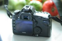 Лот: 1189167. Фото: 2. Canon EOS 5D Mark II body. Фотокамеры