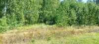 Лот: 25298488. Фото: 9. участок , ДНТ Мечта ДНТ Мечта...