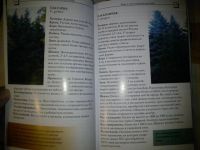 Лот: 4516010. Фото: 6. Книга: Хвойные растения