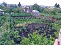 Лот: 1063279. Фото: 2. продам дачу в черте города. Продажа