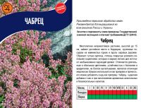 Лот: 18400263. Фото: 4. Тимьян ползучий чабрец.медок. Красноярск