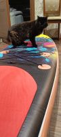 Лот: 24912277. Фото: 3. Надувная SUP доска KitCat SUP... Спортивные товары