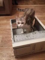 Лот: 6914741. Фото: 6. Системный блок корпус.