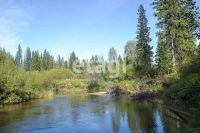 Лот: 25292825. Фото: 5. участок , СНТ Ладное СНТ Ладное...