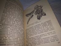 Лот: 18017450. Фото: 6. Иванова Н.А., Шумакова А.А. Календарь-справочник...