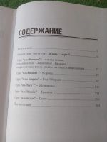 Лот: 17921303. Фото: 3. Аляутдинов Смыслы Священного Корана... Красноярск