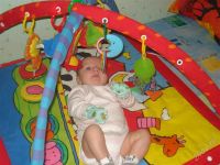 Лот: 1537796. Фото: 3. Коляска BEBETTO Super Kid +развивающий... Дети растут