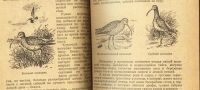 Лот: 16195495. Фото: 6. Герман В.Е. Охота на болотную...