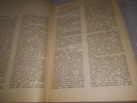 Лот: 9901183. Фото: 19. (3092315)Словарь литературоведческих...